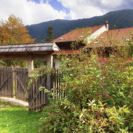 Willa Casa Ferica Azuga Zewnętrze zdjęcie